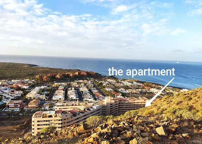 Tenerife Flamingo * 팔름-마르