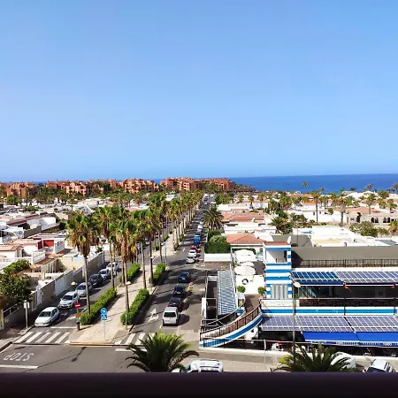 Tenerife Flamingo * Palm-mar