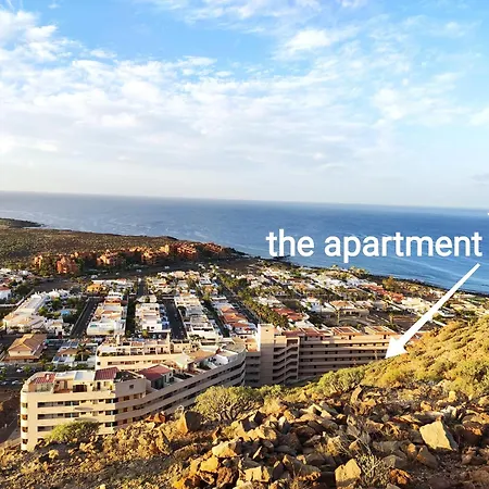 Tenerife Flamingo * Эль-Пальмар