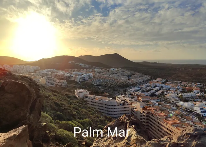 Tenerife Flamingo * Эль-Пальмар