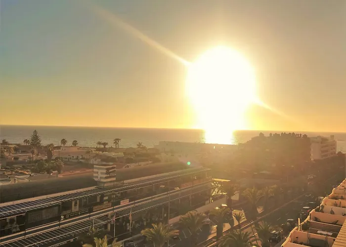 Tenerife Flamingo Daire *