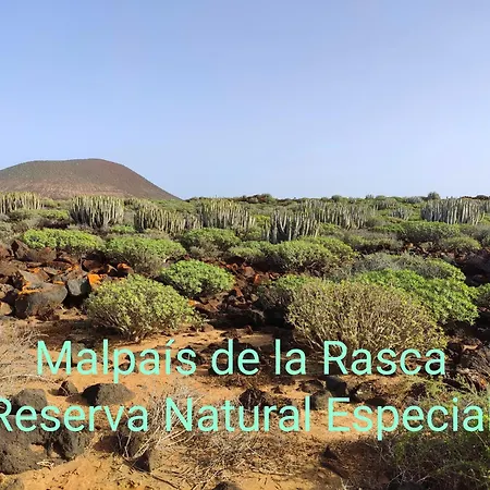 Tenerife Flamingo Lejlighed