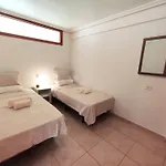 Tenerife Flamingo