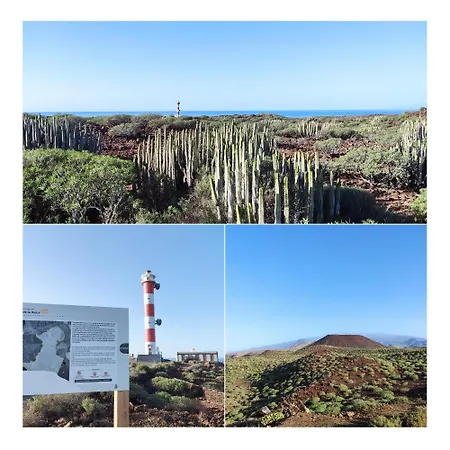 Tenerife Flamingo *